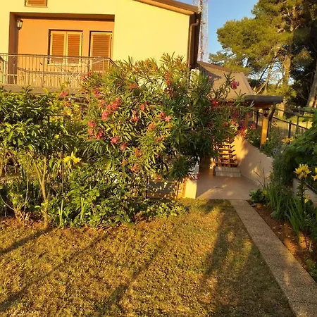 Jela Apartment